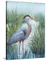 Marsh Heron I-Tim O'toole-Stretched Canvas