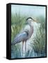 Marsh Heron I-Tim O'toole-Framed Stretched Canvas