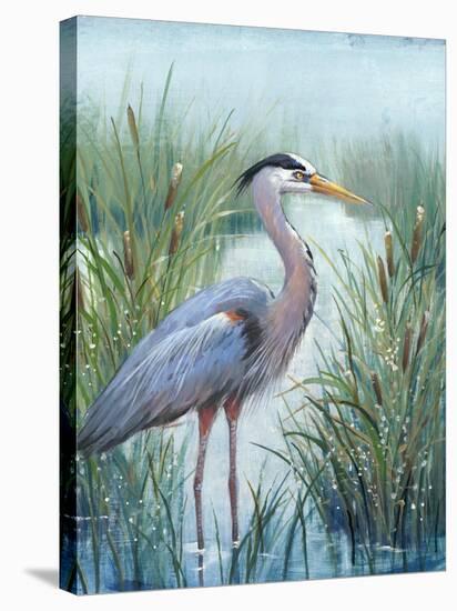 Marsh Heron I-Tim O'toole-Stretched Canvas