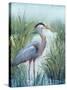 Marsh Heron I-Tim O'toole-Stretched Canvas