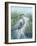 Marsh Heron I-Tim O'toole-Framed Art Print