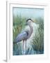 Marsh Heron I-Tim O'toole-Framed Art Print