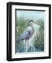 Marsh Heron I-Tim O'toole-Framed Art Print