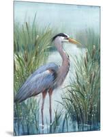 Marsh Heron I-Tim O'toole-Mounted Art Print