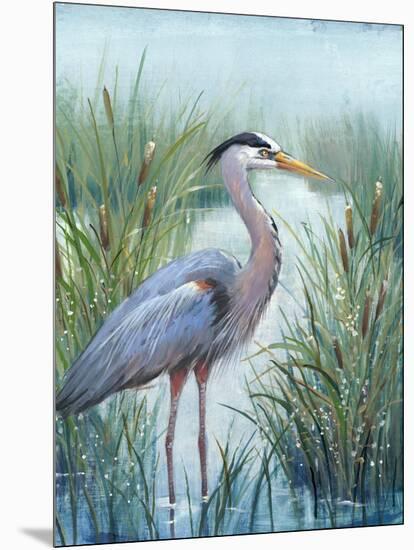 Marsh Heron I-Tim O'toole-Mounted Art Print