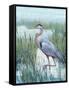 Marsh Heron II-Tim O'toole-Framed Stretched Canvas