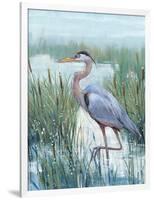 Marsh Heron II-Tim O'toole-Framed Art Print