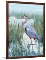 Marsh Heron II-Tim O'toole-Framed Art Print