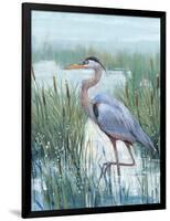 Marsh Heron II-Tim O'toole-Framed Art Print