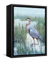 Marsh Heron II-Tim O'toole-Framed Stretched Canvas