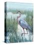 Marsh Heron II-Tim O'toole-Stretched Canvas