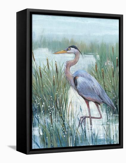 Marsh Heron II-Tim O'toole-Framed Stretched Canvas