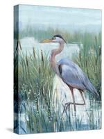 Marsh Heron II-Tim O'toole-Stretched Canvas