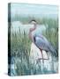 Marsh Heron II-Tim O'toole-Stretched Canvas