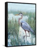 Marsh Heron II-Tim O'toole-Framed Stretched Canvas