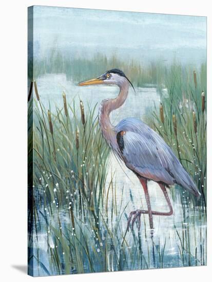 Marsh Heron II-Tim O'toole-Stretched Canvas