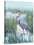 Marsh Heron II-Tim O'toole-Stretched Canvas