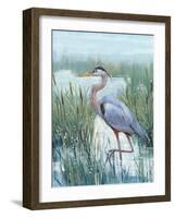 Marsh Heron II-Tim O'toole-Framed Art Print