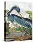 Marsh Heron-Stellar Design Studio-Stretched Canvas