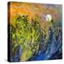 Marsh II Moonrise-Dorothy Fagan-Stretched Canvas