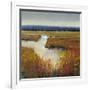 Marsh Land I-Tim O'toole-Framed Art Print