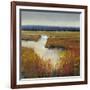 Marsh Land I-Tim O'toole-Framed Art Print