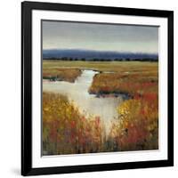 Marsh Land I-Tim O'toole-Framed Art Print