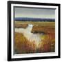 Marsh Land I-Tim O'toole-Framed Art Print