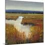 Marsh Land I-Tim O'toole-Mounted Art Print