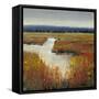 Marsh Land I-Tim O'toole-Framed Stretched Canvas