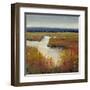 Marsh Land I-Tim O'toole-Framed Art Print