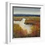 Marsh Land I-Tim O'toole-Framed Art Print