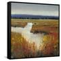 Marsh Land I-Tim O'toole-Framed Stretched Canvas