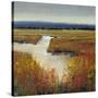 Marsh Land I-Tim O'toole-Stretched Canvas