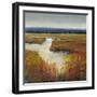 Marsh Land I-Tim O'toole-Framed Art Print