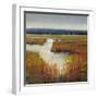 Marsh Land I-Tim O'toole-Framed Art Print