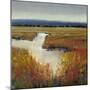 Marsh Land I-Tim O'toole-Mounted Art Print
