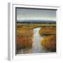 Marsh Land II-Tim O'toole-Framed Art Print