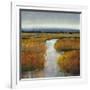 Marsh Land II-Tim O'toole-Framed Art Print