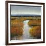 Marsh Land II-Tim O'toole-Framed Art Print