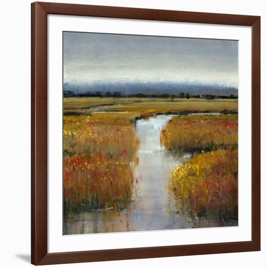 Marsh Land II-Tim O'toole-Framed Art Print