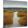 Marsh Land II-Tim O'toole-Mounted Art Print