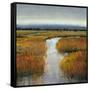 Marsh Land II-Tim O'toole-Framed Stretched Canvas