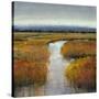 Marsh Land II-Tim O'toole-Stretched Canvas