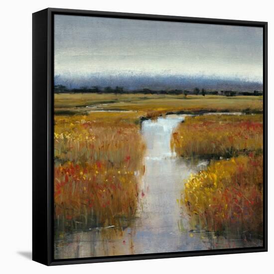 Marsh Land II-Tim O'toole-Framed Stretched Canvas