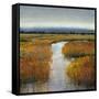 Marsh Land II-Tim O'toole-Framed Stretched Canvas