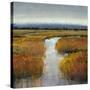 Marsh Land II-Tim O'toole-Stretched Canvas