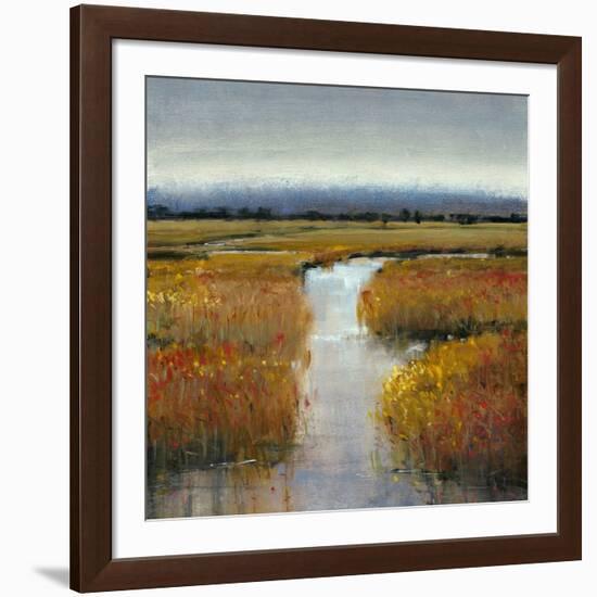 Marsh Land II-Tim O'toole-Framed Art Print