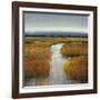 Marsh Land II-Tim O'toole-Framed Art Print