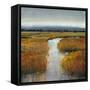 Marsh Land II-Tim O'toole-Framed Stretched Canvas